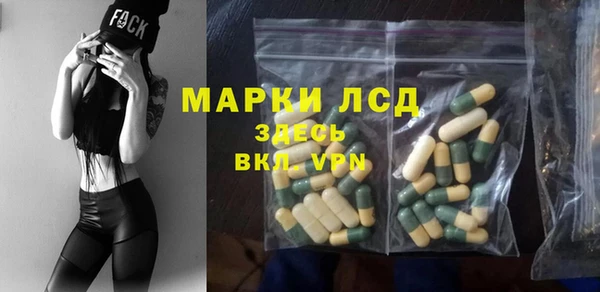 прущие грибы Баксан
