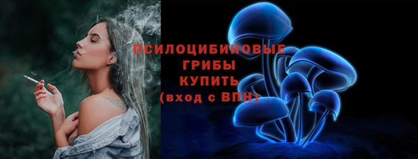 ПСИЛОЦИБИНОВЫЕ ГРИБЫ Армянск