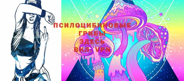 ПСИЛОЦИБИНОВЫЕ ГРИБЫ Армянск
