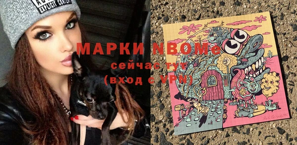прущие грибы Баксан