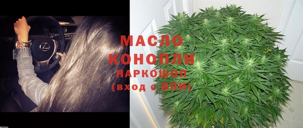 гашик Бикин